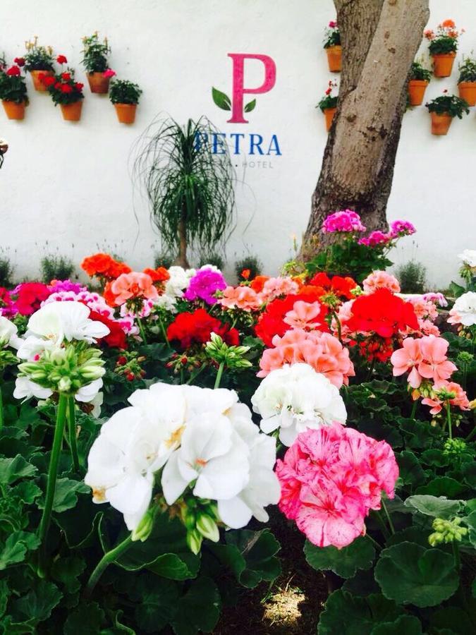 Hotel Petra Σαν Μιγκέλ ντε Αγιέντε Εξωτερικό φωτογραφία
