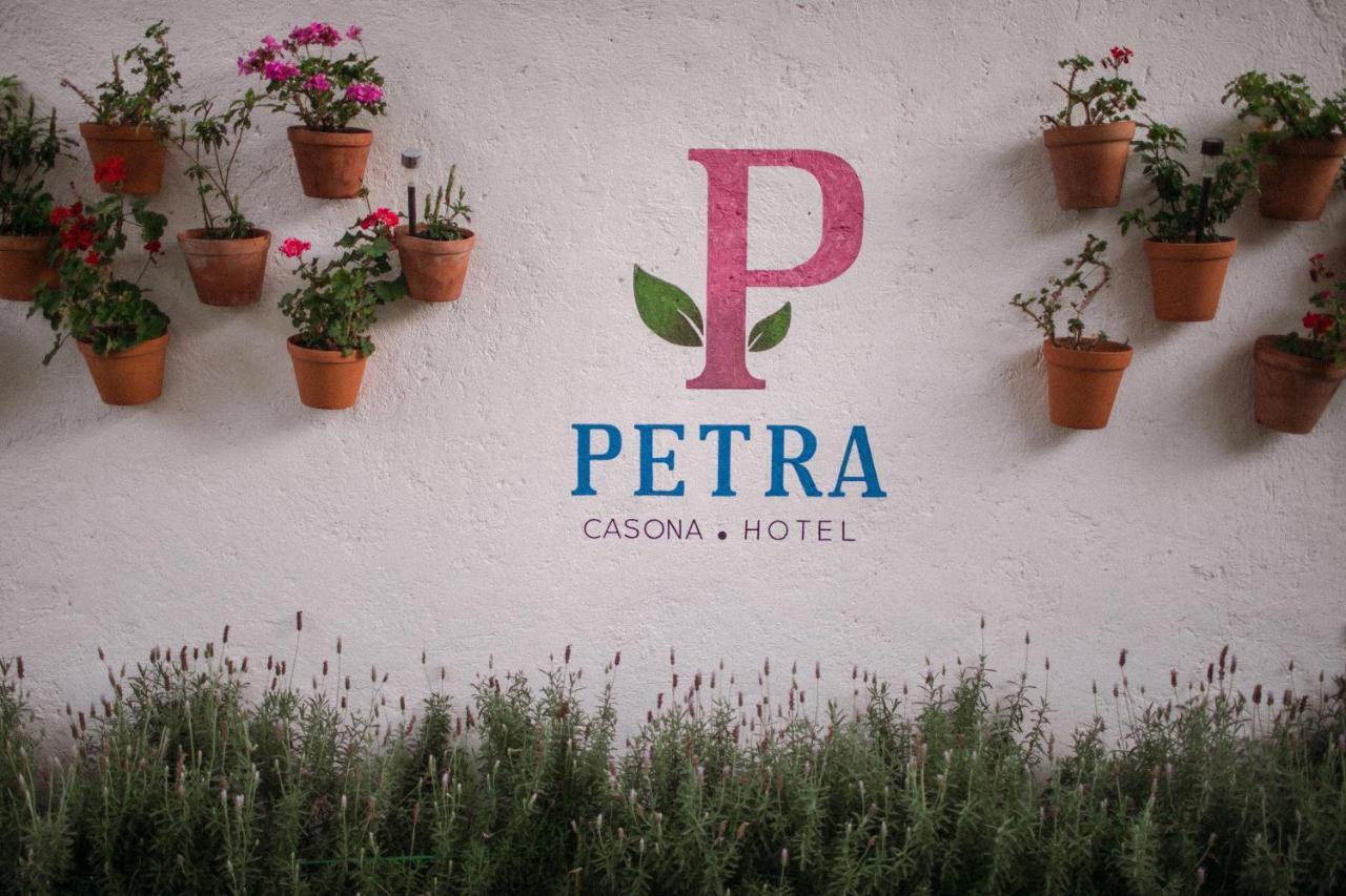 Hotel Petra Σαν Μιγκέλ ντε Αγιέντε Εξωτερικό φωτογραφία