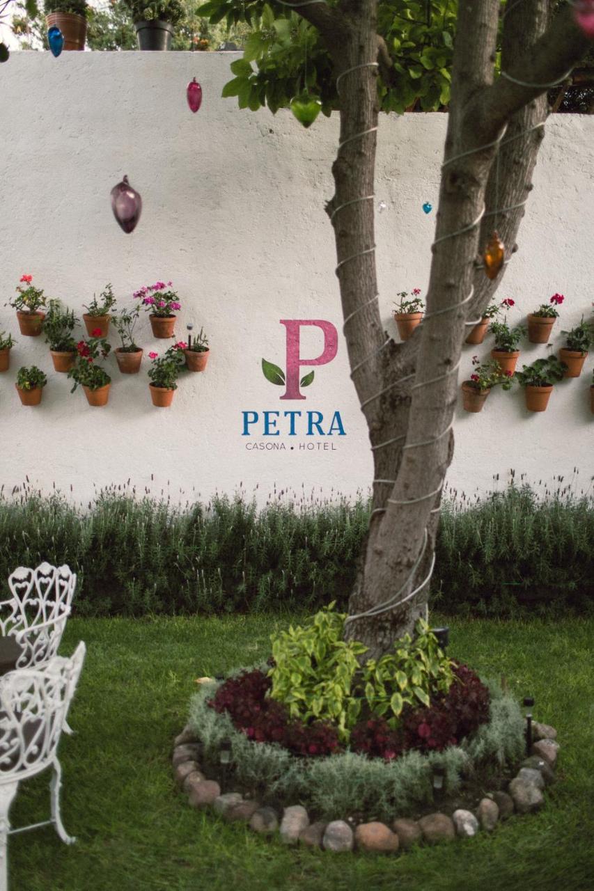 Hotel Petra Σαν Μιγκέλ ντε Αγιέντε Εξωτερικό φωτογραφία