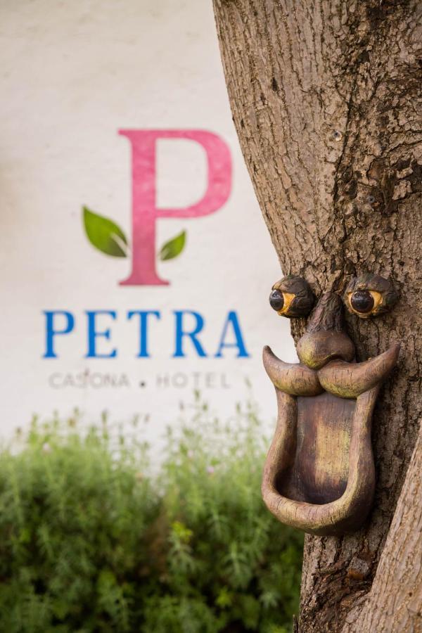 Hotel Petra Σαν Μιγκέλ ντε Αγιέντε Εξωτερικό φωτογραφία