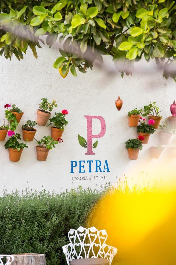 Hotel Petra Σαν Μιγκέλ ντε Αγιέντε Εξωτερικό φωτογραφία